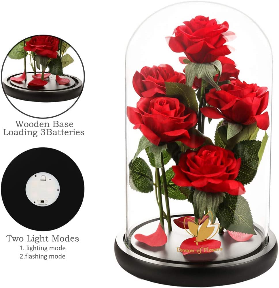 Valentines Day Rose Gifts for Women,Beauty and Beast Rose in Glass Dome with LED Light,Glass Rose Flower Gifts for Her Valentines Birthday Gifts for Women Mom Wife Girlfriend Friend Forever Red Rose