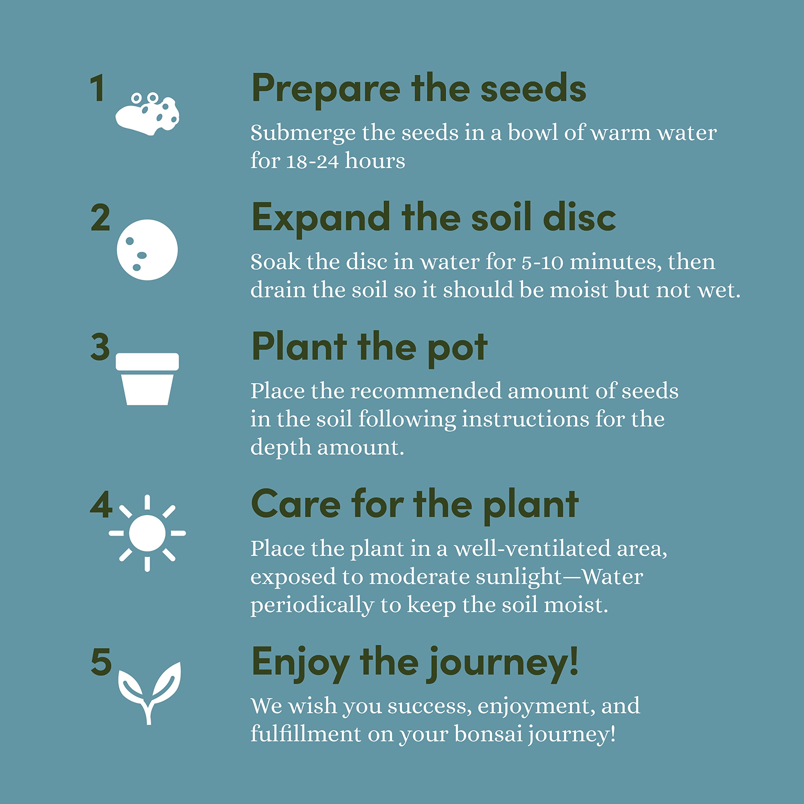 Bonsai Starter Kit - Gardening Easter Gift for Women & Men - Bonsai Tree Growing Garden Crafts Hobby Kits for Adults, Unique DIY Hobbies for Plant Lovers - Unusual Christmas Gifts Ideas